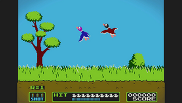 Duck Hunt stage MarioWiki Fandom