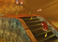 DK64 Screenshot Azteken Arena Donkey Kong Bananen 5.png (97 KB) Donkey Kong 64
