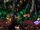 DKC2 Screenshot Dschungelzauber 6.png