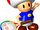 MTN64 Artwork Toad.png