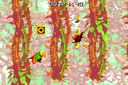 DKC2GBA Screenshot Dornenlauf 4