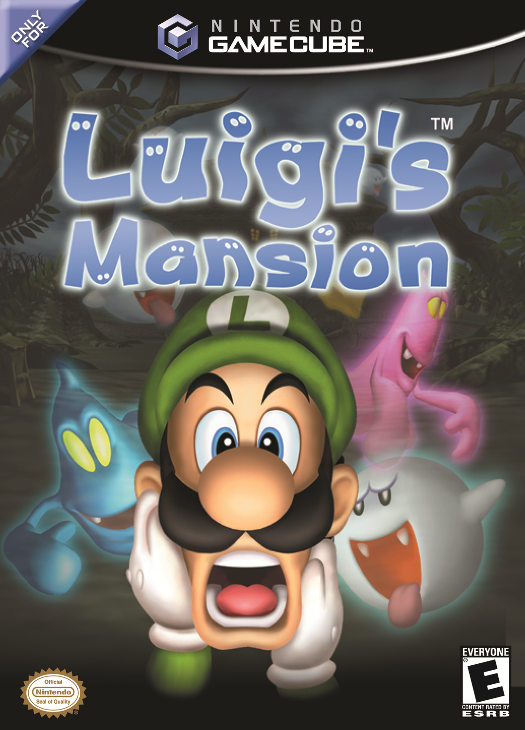 Luigi's mansion Wii Wii Box Art Cover by SmashBrosRocks123