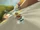 MK8 Screenshot Shy Guys Wasserfälle 3.png