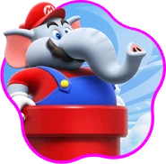 Elefant-Mario
