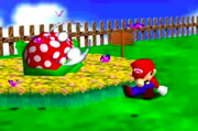 Sleeping Piranha Plant 64
