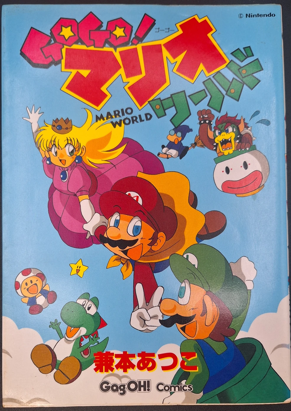 GOGO!マリオワールド | マリオペディア | Fandom
