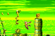 DKC2GBA Screenshot Klapper-Misere 3