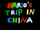 Mario's Trip in China