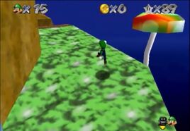 Mushroom Garden