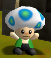 SM64: Year of the Plumber
