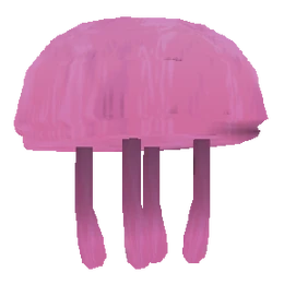 Jellyfish