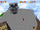 King Whomp