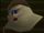 Boo Prosperor .jpg