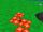 Red coin.JPG