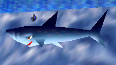 Sushi (Shark)