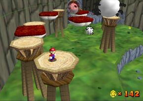 Wildlife Valley Max Coin Record