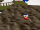 4d55938bbfe8ee86cf6f02f7514de7a2.gif