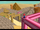 Sandy Slide Secret