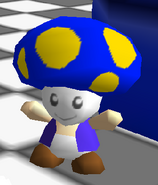 Stan 64