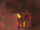 BBB S1.png