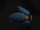 4f2a56f24ceea13f77282f4d77f84470.png