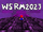 WSRM2023 Kaizo Tournament