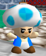Star Revenge 5: Neo Blue Realm