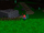 PPP.png