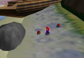 Spinies on the Beach