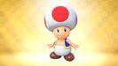 [Pipe Regular] Toad - Skill: Triple Mushrooms.