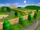 Mario Raceway