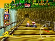 Peach and Toad racing at D.K.'s Jungle Parkway