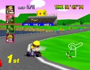 The twisting roads of the course.