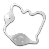 MK8DX GCN Dry Dry Desert Mirror Map