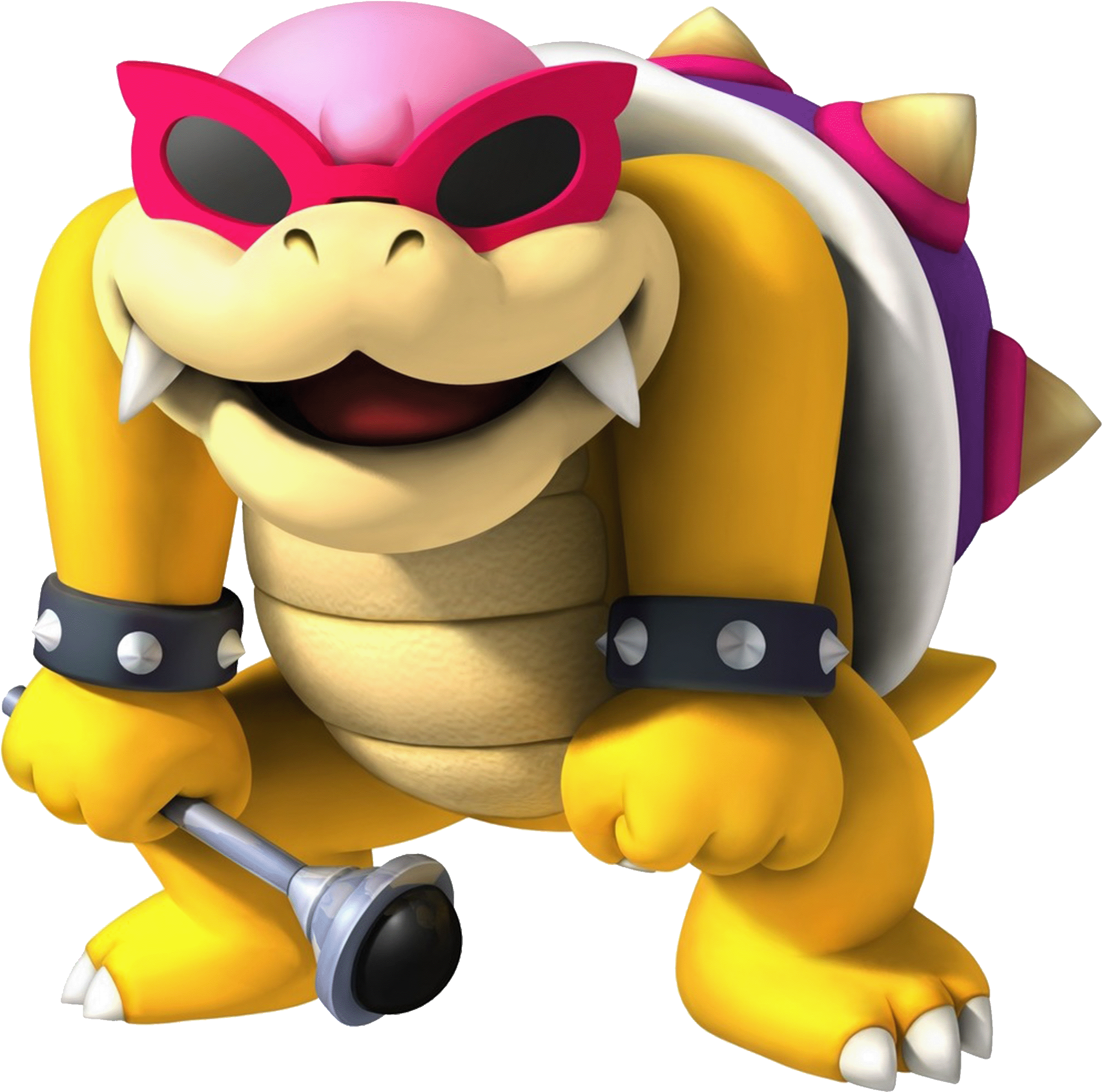 Roy Koopa Mario Kart Racing Wiki Fandom