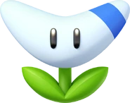 Boomerang Flower.
