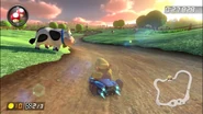 MooMooMeadows-MK8D.jpg (121 KB) Moo Moo as seen in Moo Moo Meadows in Mario Kart 8 Deluxe.