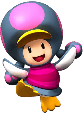 Toadette on sale wii remote