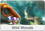 MK8-DLC-Course-icon-WildWoods.png
