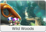 MK8-DLC-Course-icon-WildWoods