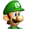 MKDD Luigi