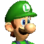 Character selection icon from Mario Kart: Double Dash!!