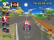 Mario and Toad racing at Luigi Circuit in their Red Fire.
