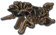 150px-MK8D Master Cycle Zero.png
