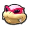 MK8 Roy Icon