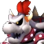 Dry Bowser