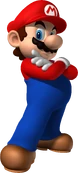 Mario - Mario Kart Wii