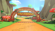 Mushroom Gorge Mirror Banner MK8DX