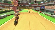 ExcitebikeArenaJump.png (684 KB) Cat Peach near the finish line.