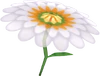 MK7 Flower Glider